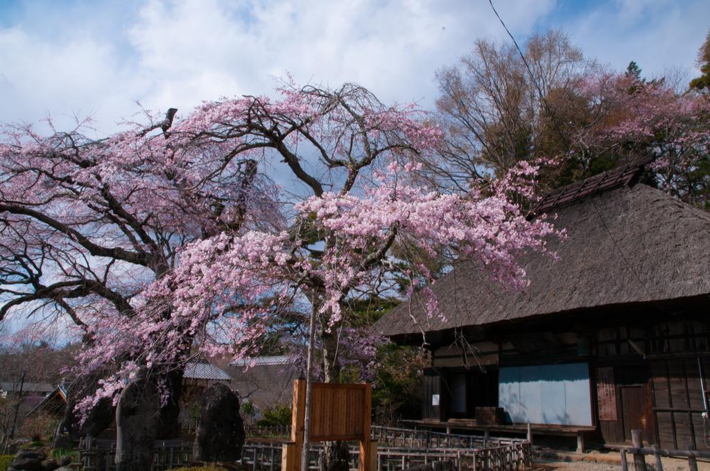 Tombouctou Villa Fujimi Exterior photo